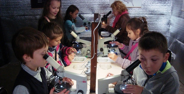 Учні школи І ступеня №268 відвідали виставку «Зоопарк під мікроскопом»